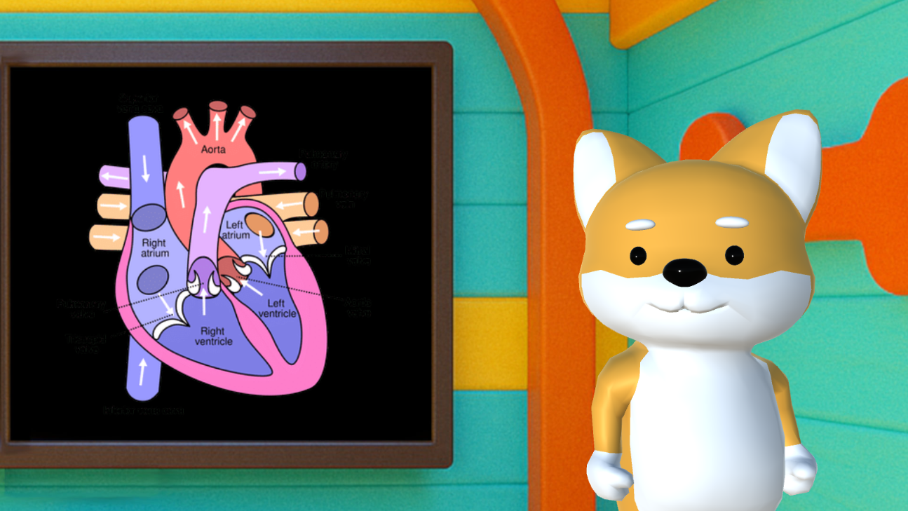 AI tutor showing animals